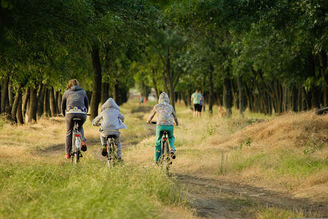 Famille faisant du vélo dans la forêt