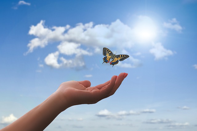 Main libérant un papillon prenant son envol symbole de changement et de créativité